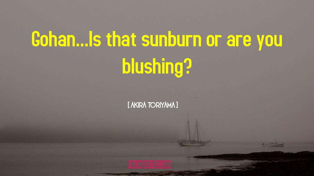 Akira Toriyama Quotes: Gohan...Is that sunburn or are