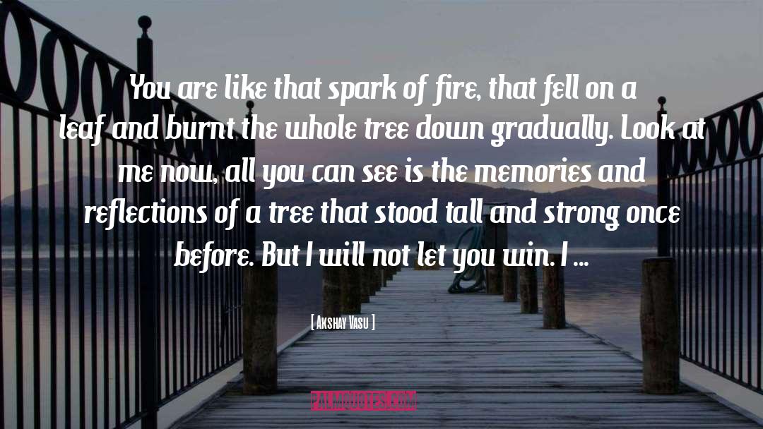 Akshay Vasu Quotes: You are like that spark