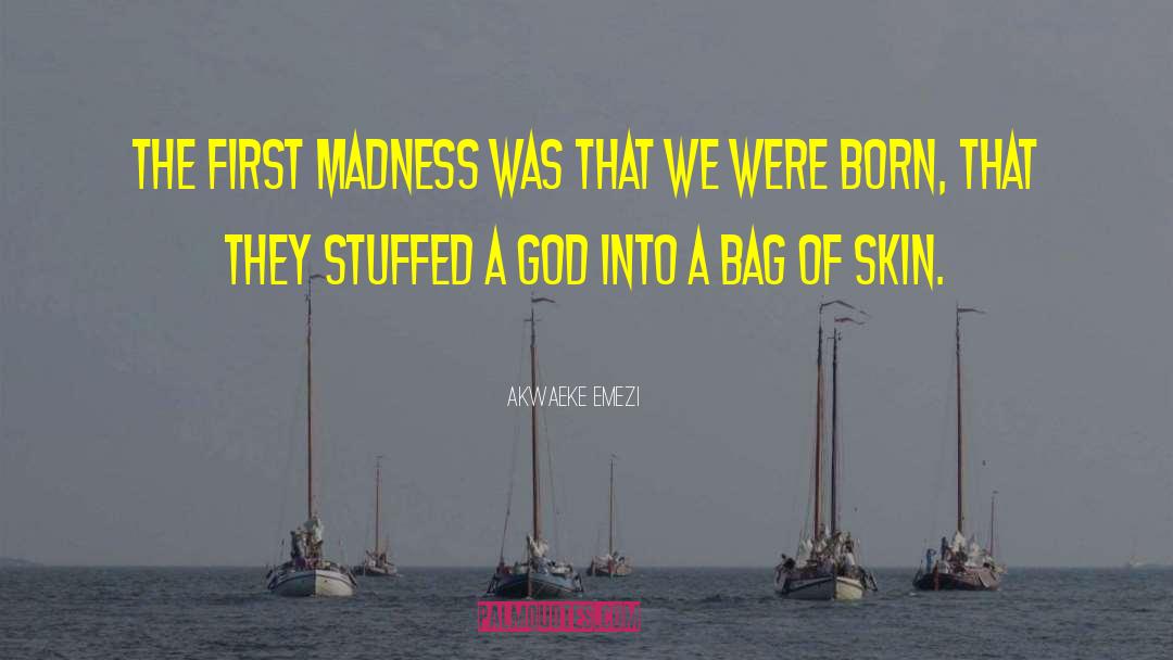 Akwaeke Emezi Quotes: The first madness was that