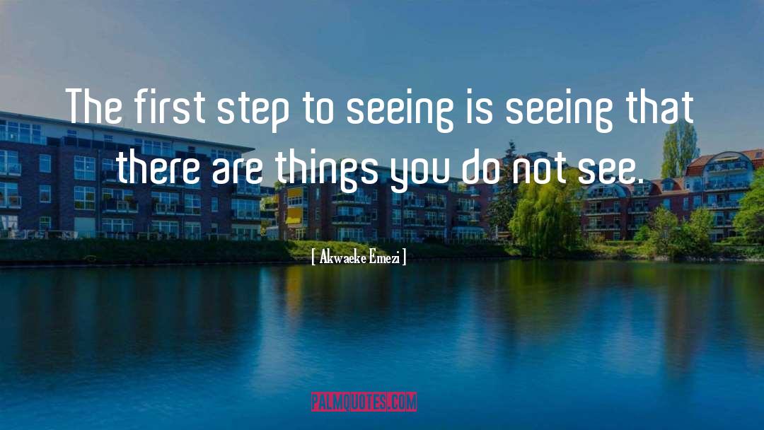 Akwaeke Emezi Quotes: The first step to seeing