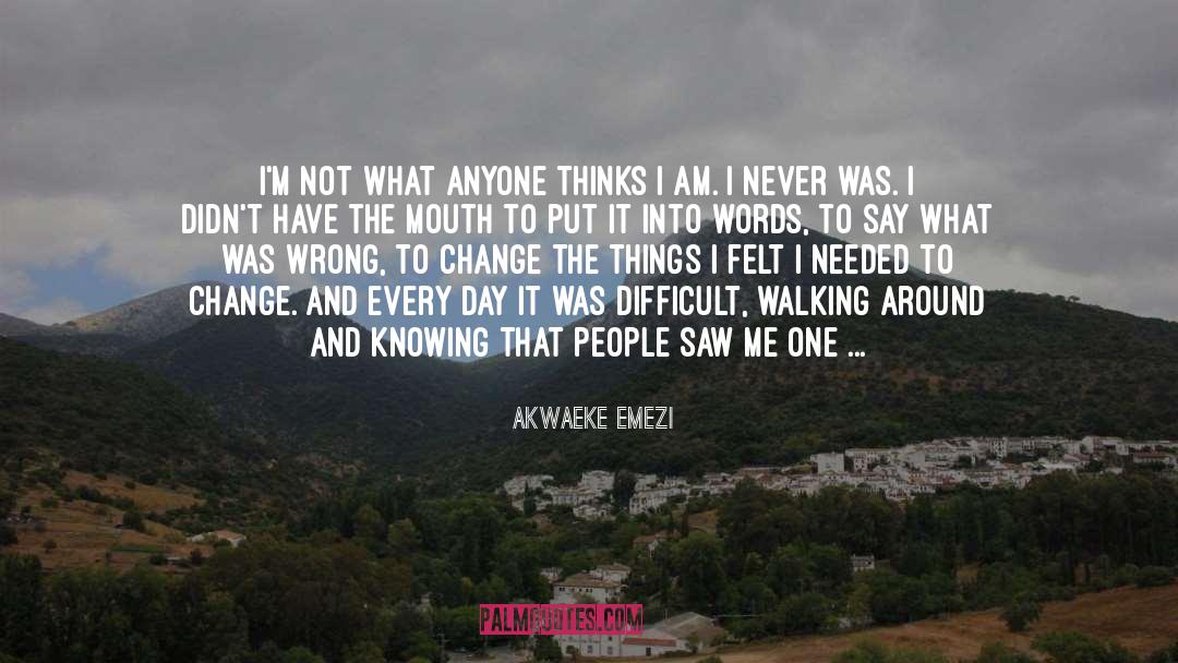 Akwaeke Emezi Quotes: I'm not what anyone thinks