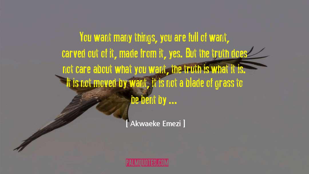 Akwaeke Emezi Quotes: You want many things, you