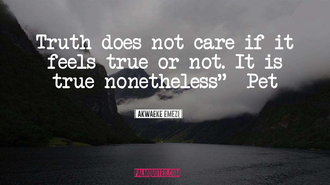 Akwaeke Emezi Quotes: Truth does not care if