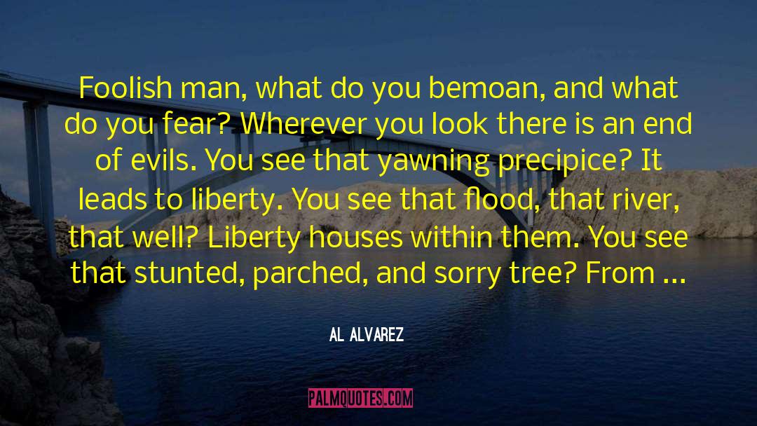 Al Alvarez Quotes: Foolish man, what do you