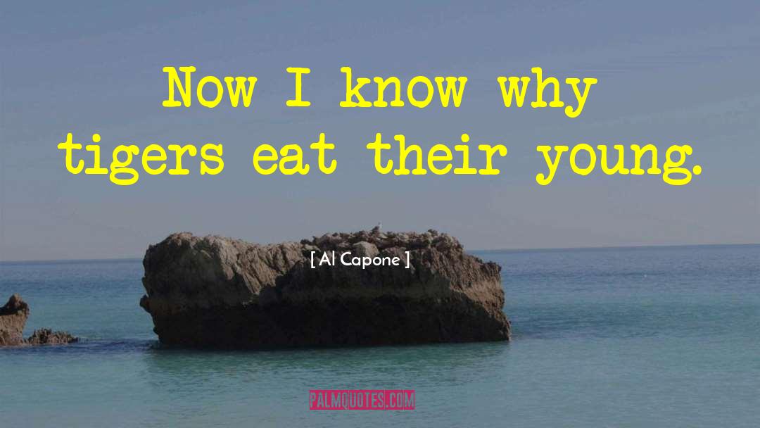 Al Capone Quotes: Now I know why tigers