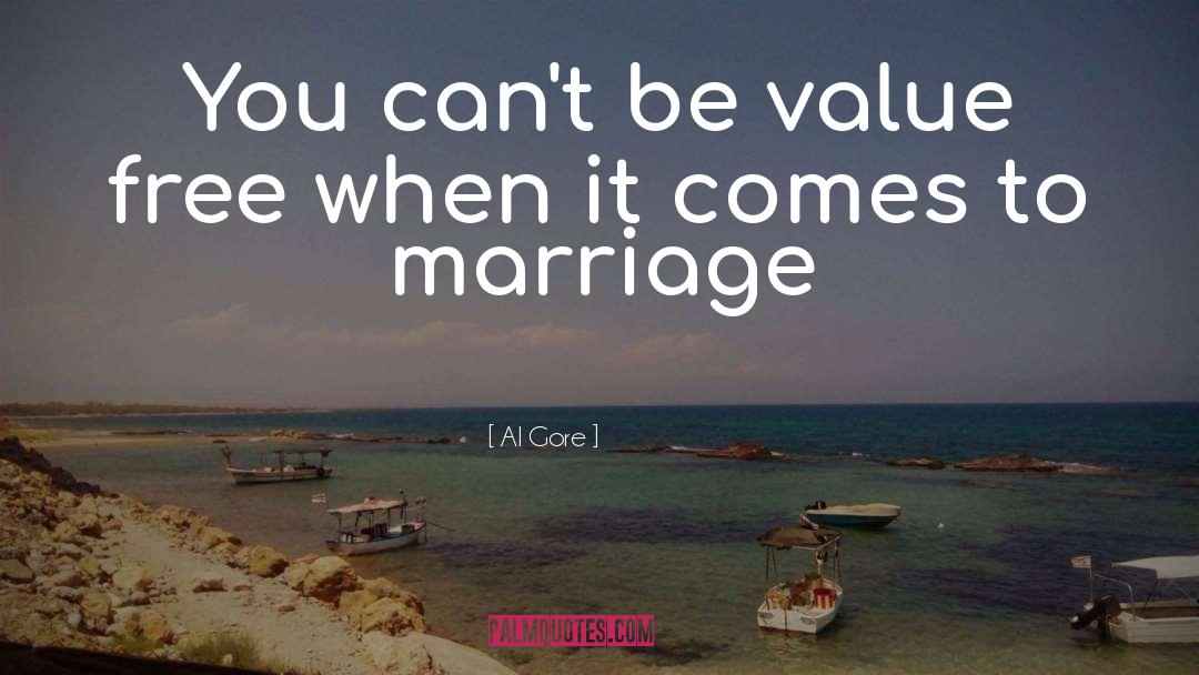 Al Gore Quotes: You can't be value free