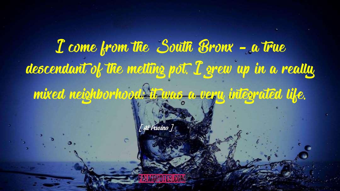 Al Pacino Quotes: I come from the South