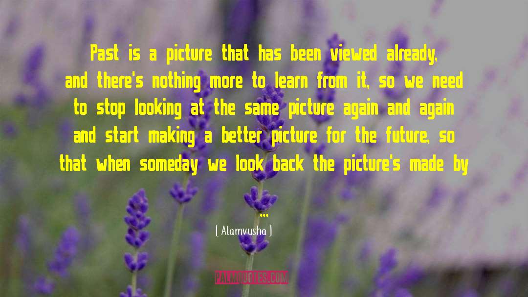 Alamvusha Quotes: Past is a picture that