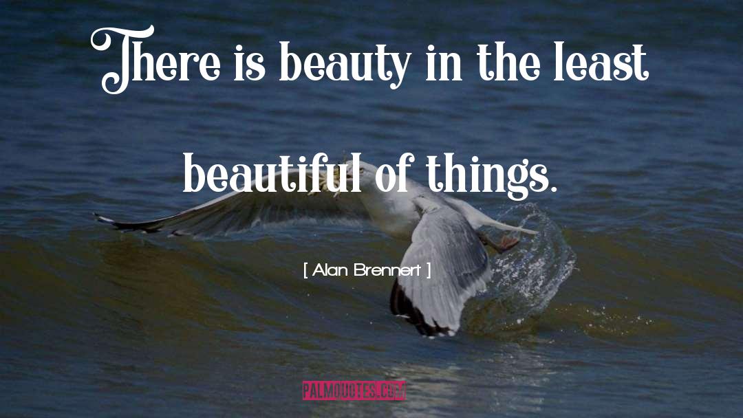 Alan Brennert Quotes: There is beauty in the