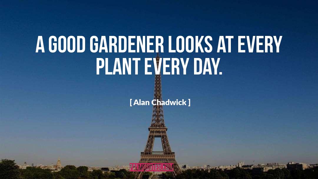 Alan Chadwick Quotes: A good gardener looks at