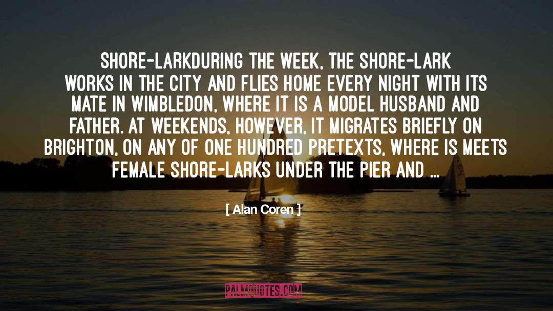 Alan Coren Quotes: SHORE-LARK<br />During the week, the
