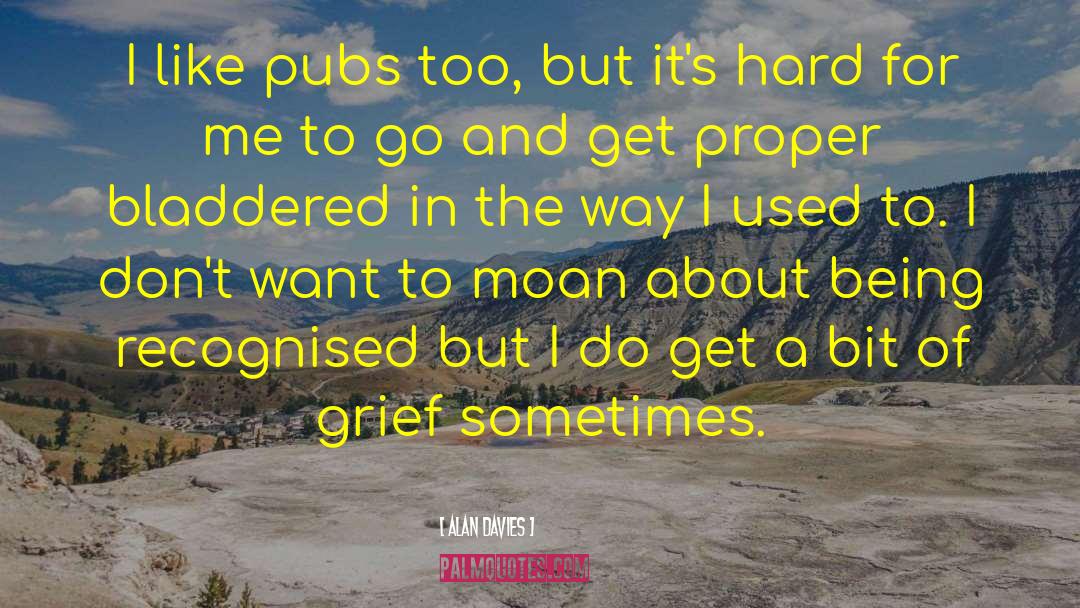 Alan Davies Quotes: I like pubs too, but