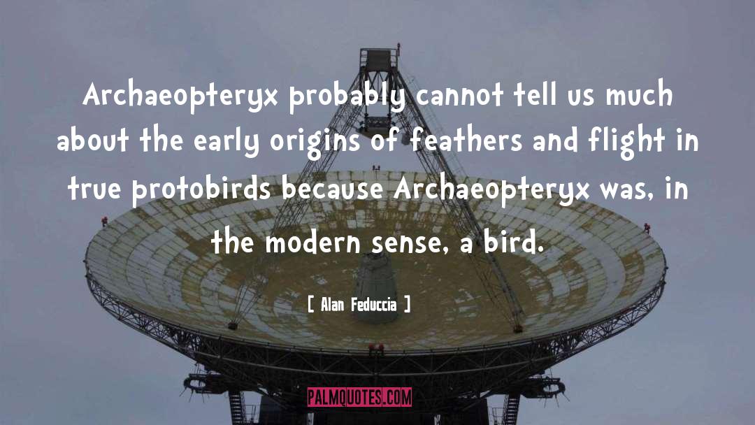 Alan Feduccia Quotes: Archaeopteryx probably cannot tell us