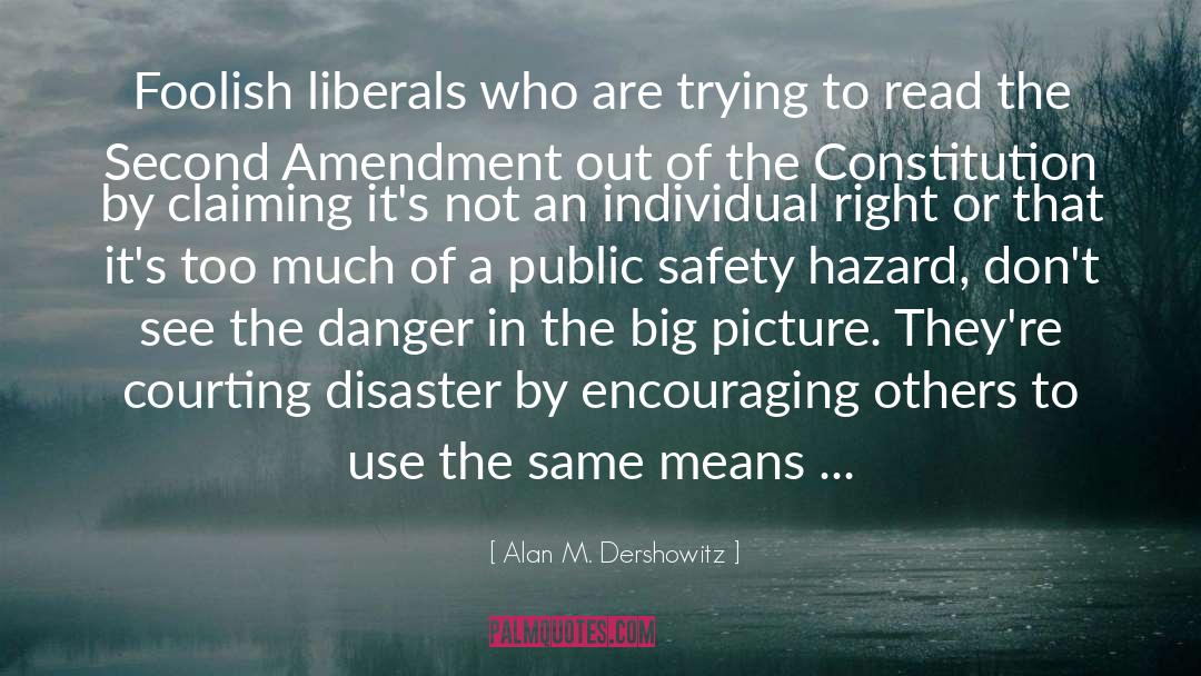 Alan M. Dershowitz Quotes: Foolish liberals who are trying