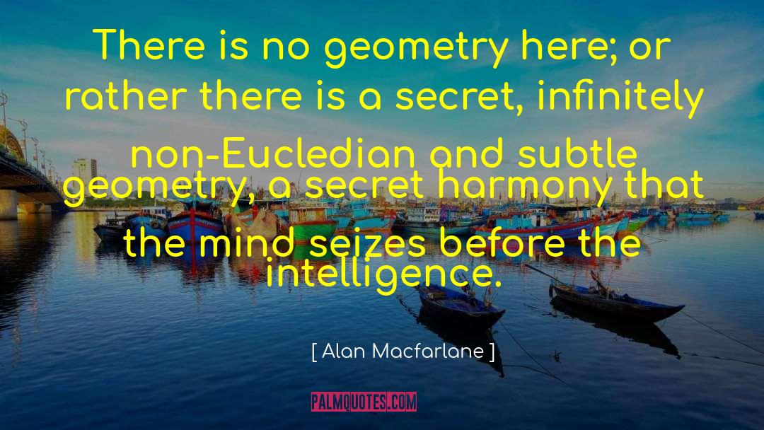 Alan Macfarlane Quotes: There is no geometry here;