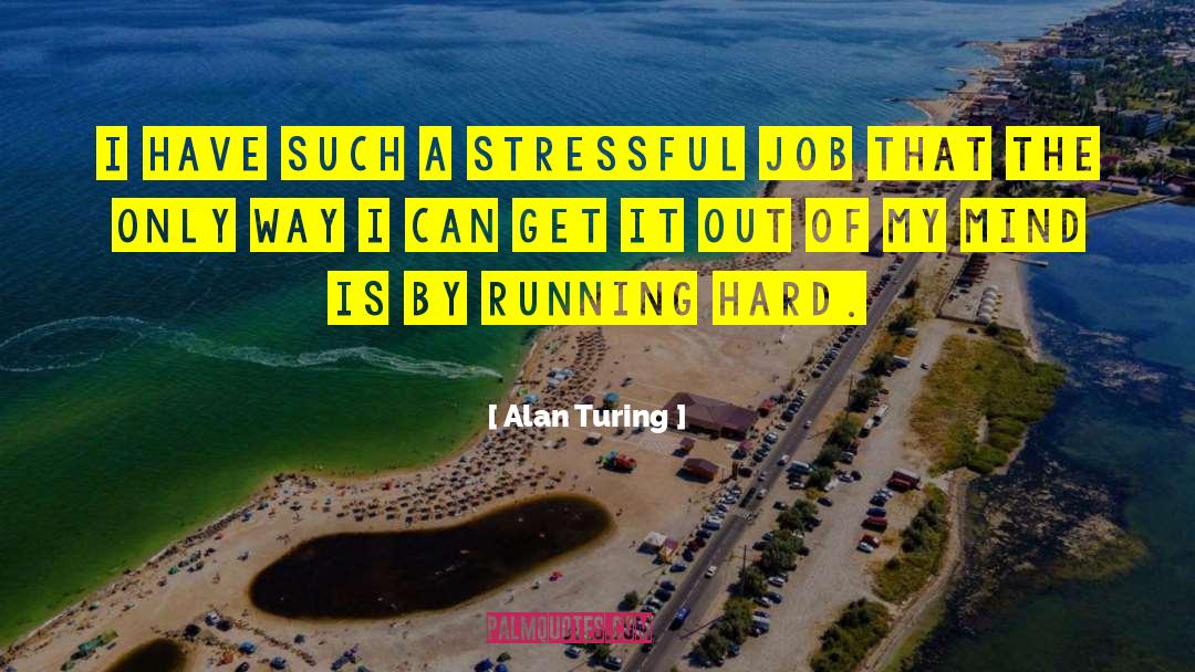 Alan Turing Quotes: I have such a stressful