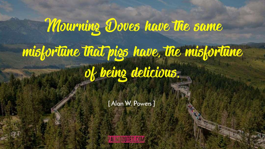Alan W. Powers Quotes: Mourning Doves have the same