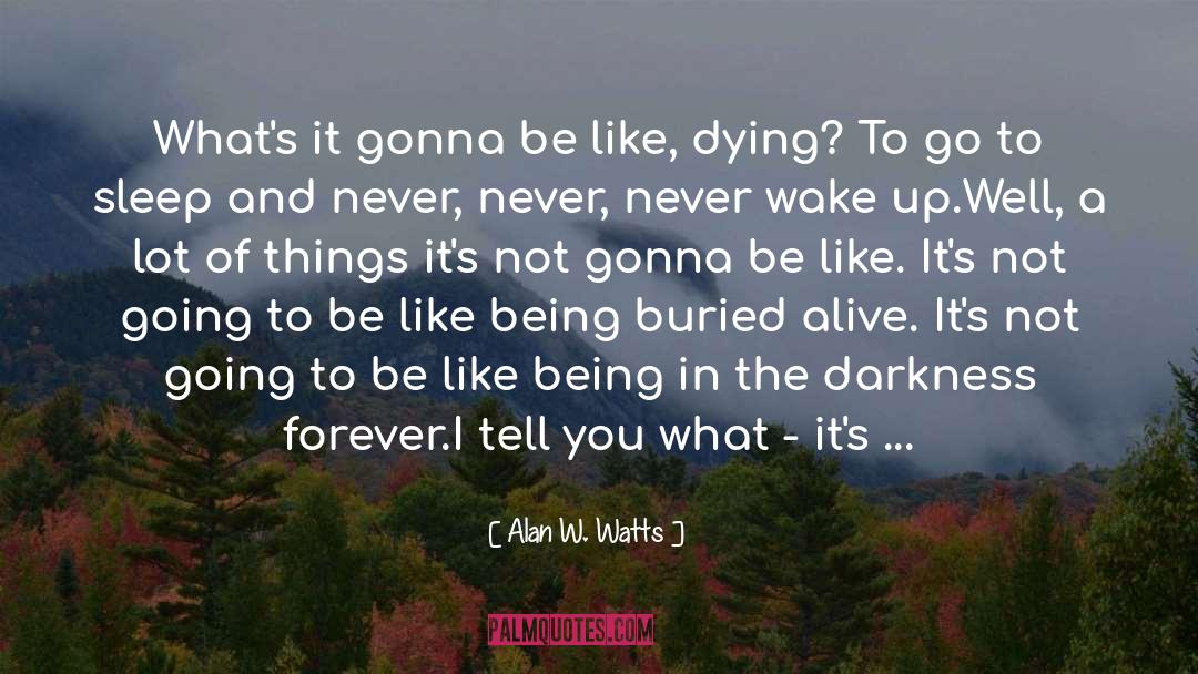 Alan W. Watts Quotes: What's it gonna be like,