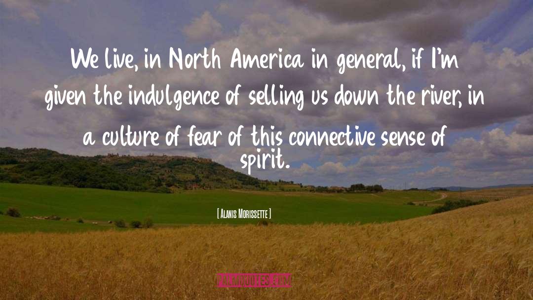 Alanis Morissette Quotes: We live, in North America