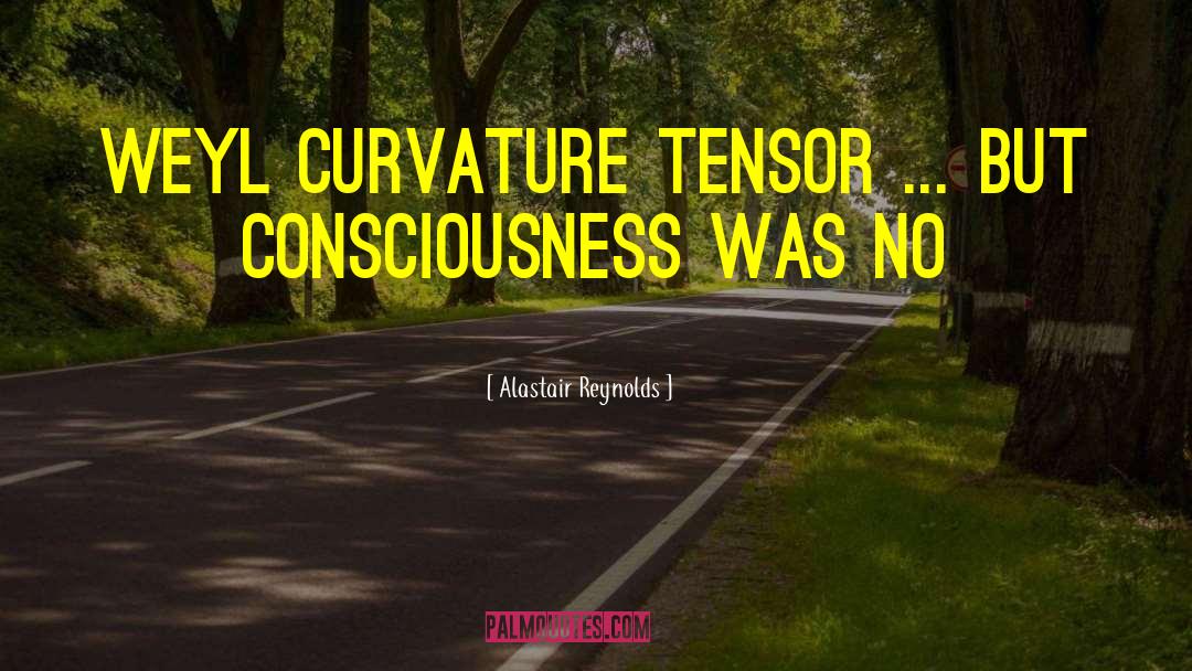 Alastair Reynolds Quotes: Weyl curvature tensor ... but