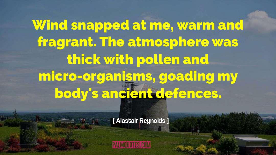 Alastair Reynolds Quotes: Wind snapped at me, warm