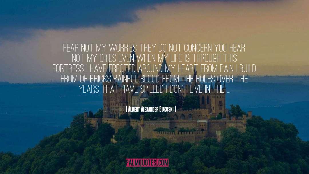 Albert Alexander Bukoski Quotes: Fear not my worries<br />