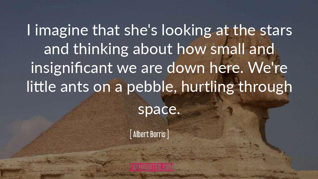 Albert Borris Quotes: I imagine that she's looking