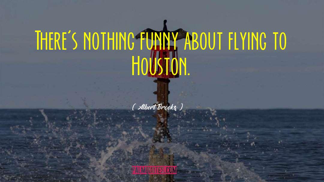 Albert Brooks Quotes: There's nothing funny about flying