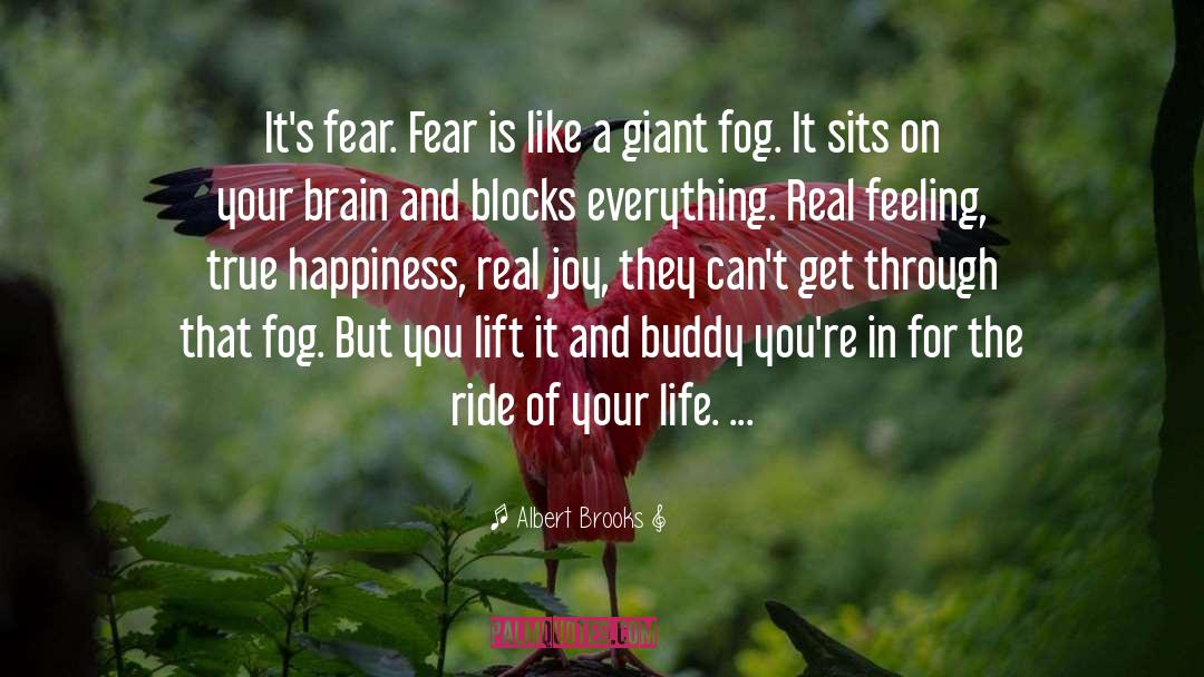 Albert Brooks Quotes: It's fear. Fear is like