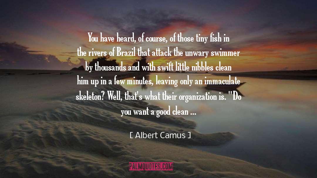 Albert Camus Quotes: You have heard, of course,