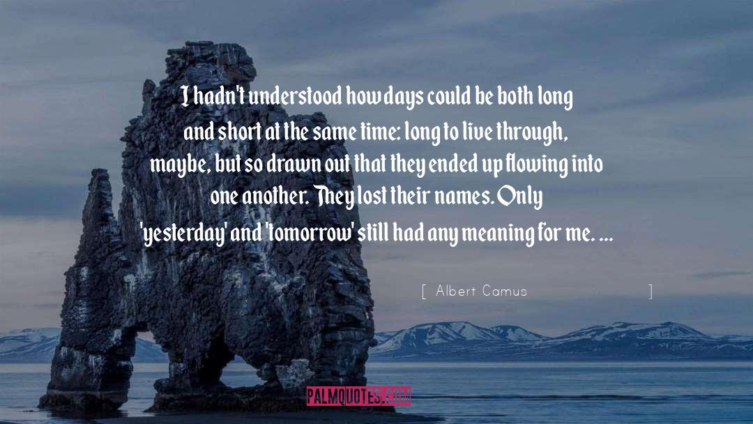 Albert Camus Quotes: I hadn't understood how days