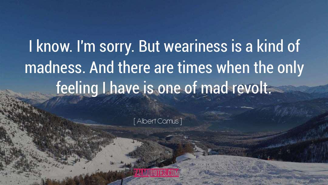 Albert Camus Quotes: I know. I'm sorry. But