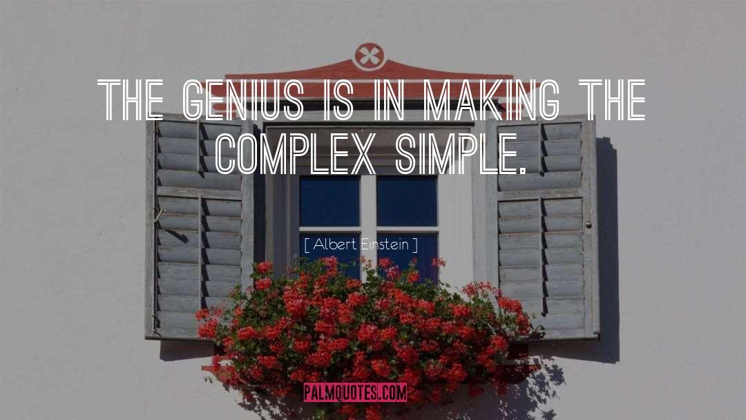 Albert Einstein Quotes: The genius is in making