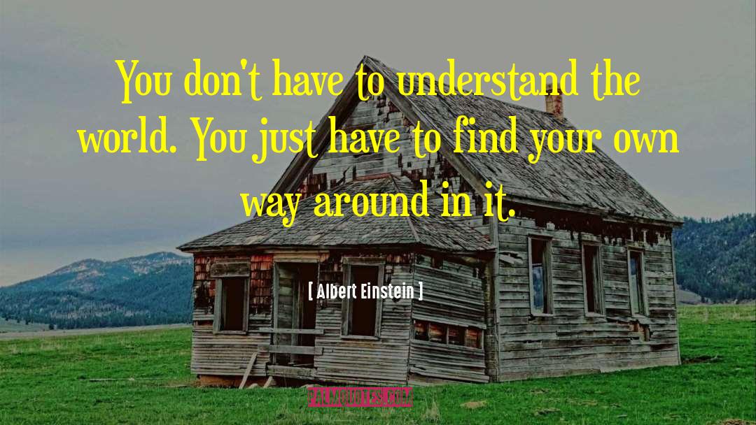 Albert Einstein Quotes: You don't have to understand