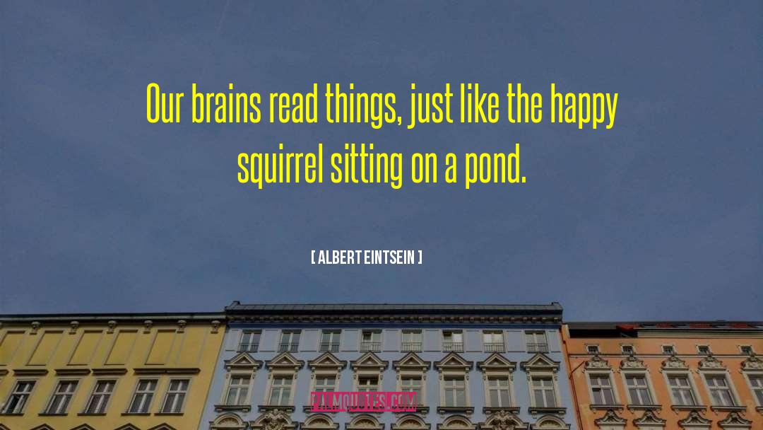 Albert Eintsein Quotes: Our brains read things, just