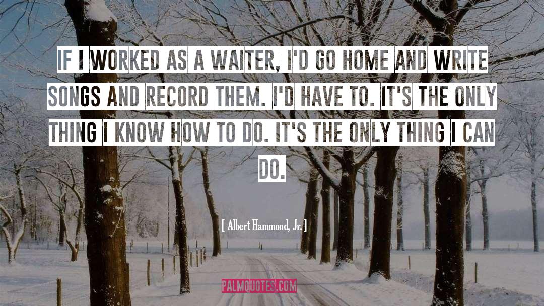 Albert Hammond, Jr. Quotes: If I worked as a