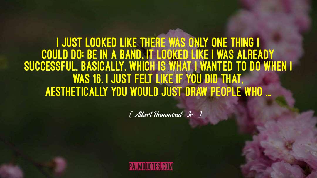 Albert Hammond, Jr. Quotes: I just looked like there