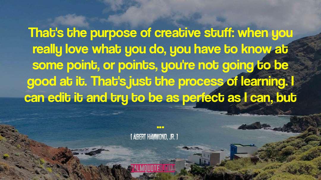 Albert Hammond, Jr. Quotes: That's the purpose of creative