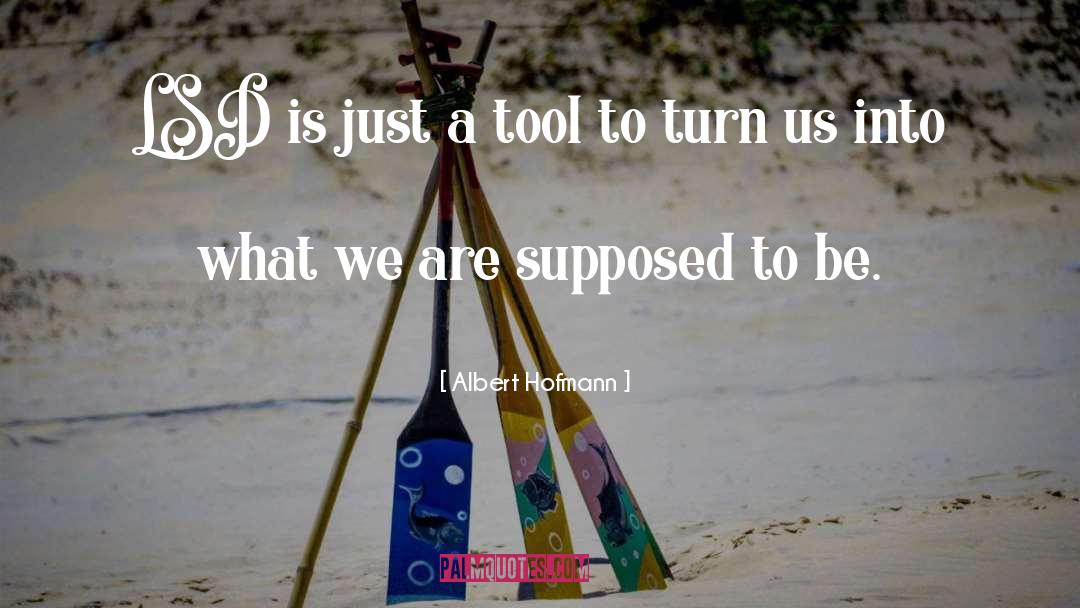 Albert Hofmann Quotes: LSD is just a tool