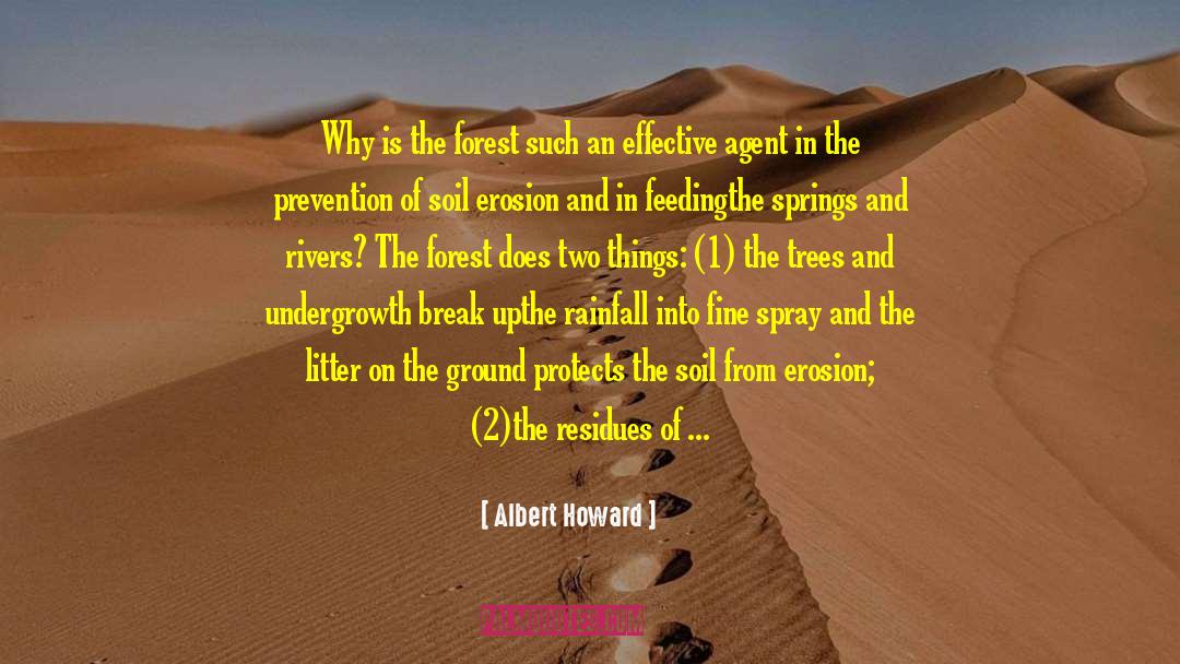 Albert Howard Quotes: Why is the forest such