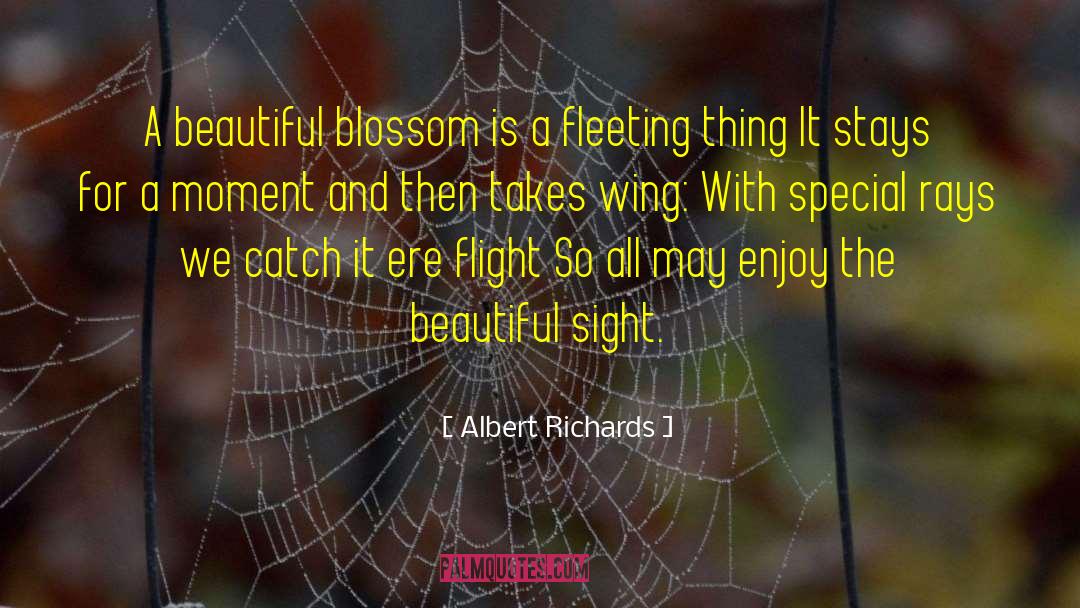 Albert Richards Quotes: A beautiful blossom is a