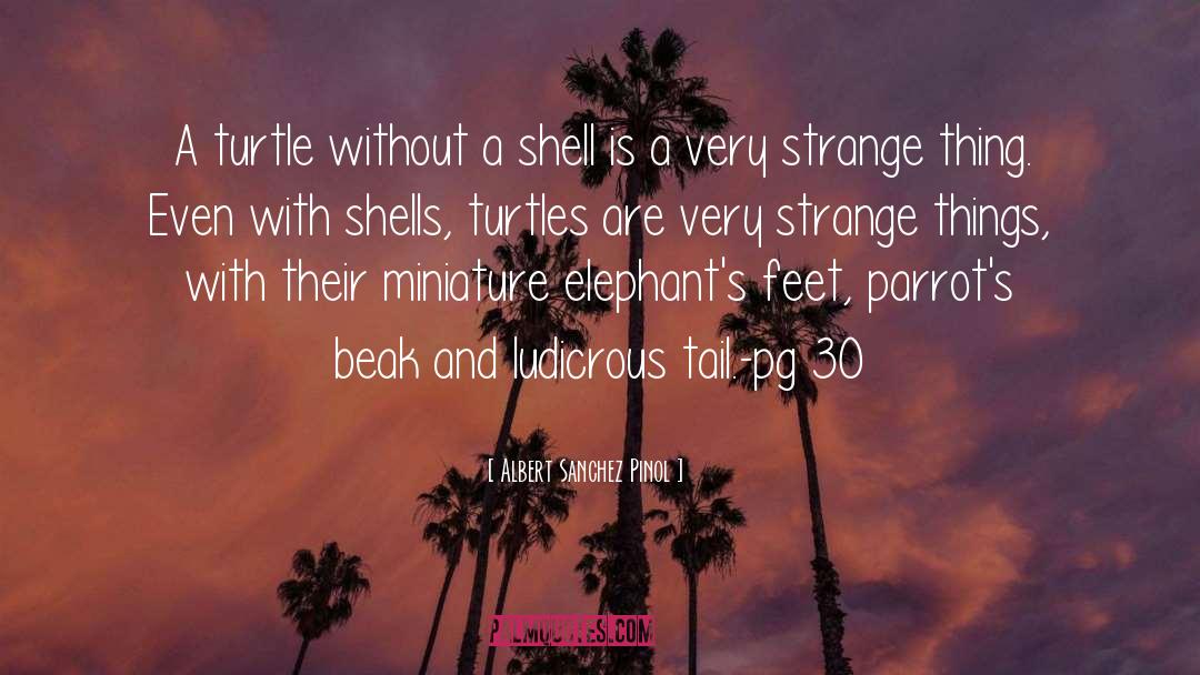 Albert Sanchez Pinol Quotes: A turtle without a shell