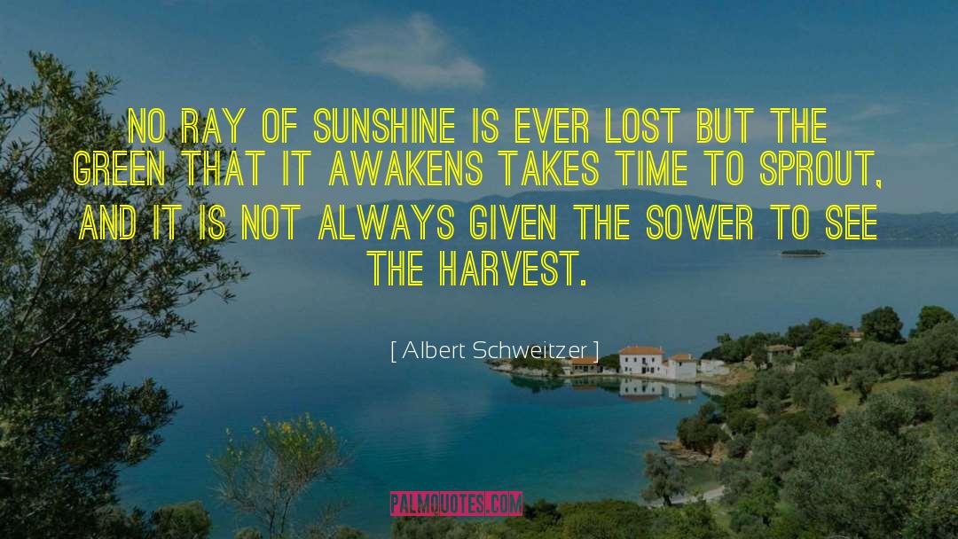 Albert Schweitzer Quotes: No ray of sunshine is