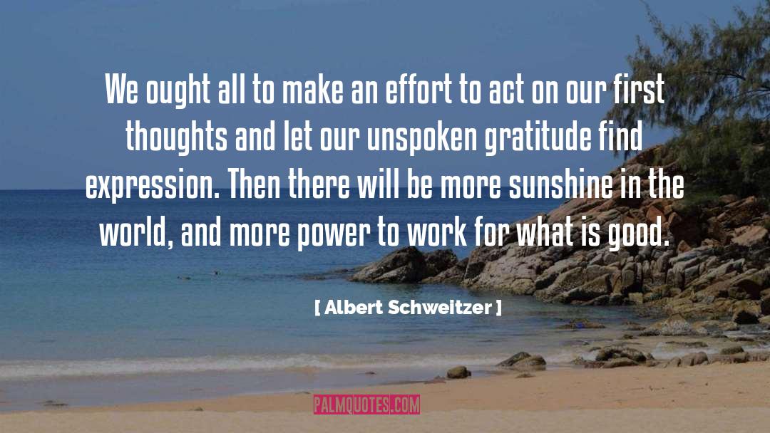 Albert Schweitzer Quotes: We ought all to make