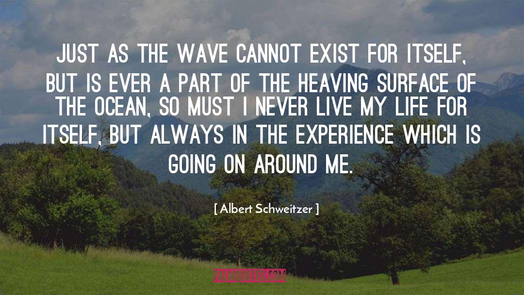 Albert Schweitzer Quotes: Just as the wave cannot
