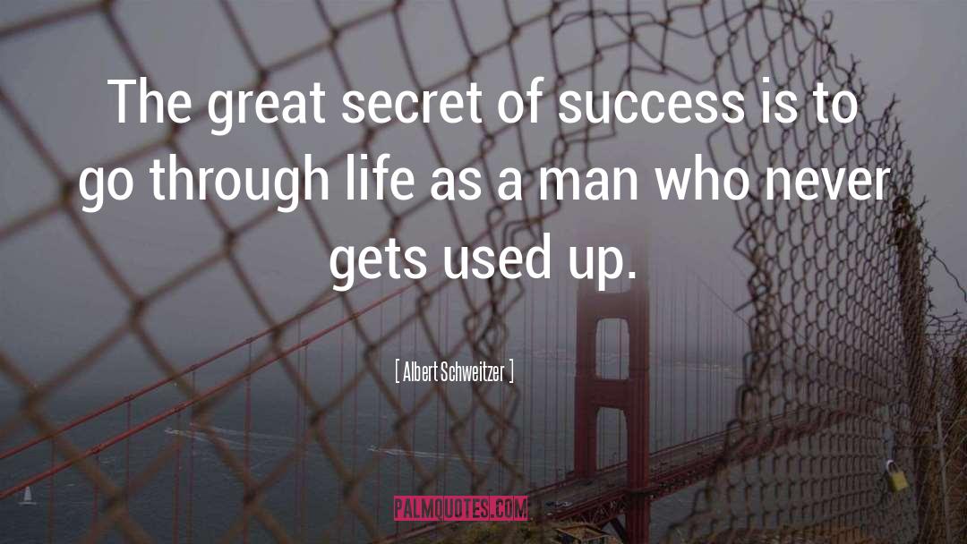 Albert Schweitzer Quotes: The great secret of success