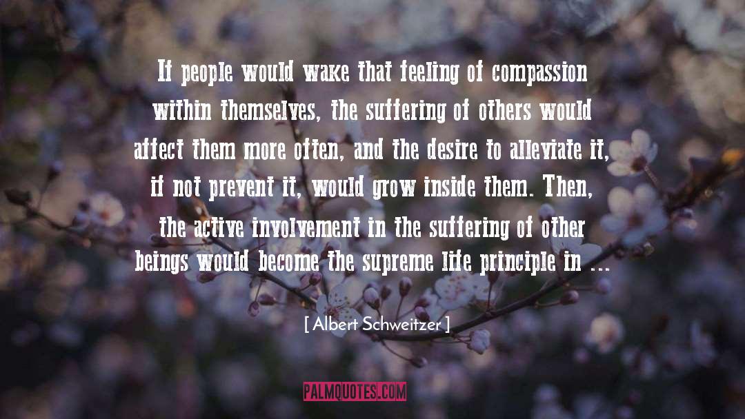 Albert Schweitzer Quotes: If people would wake that