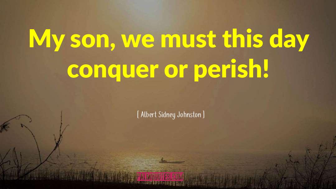 Albert Sidney Johnston Quotes: My son, we must this