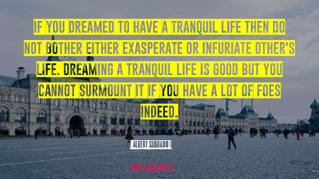Albert Subrado Quotes: If you dreamed to have