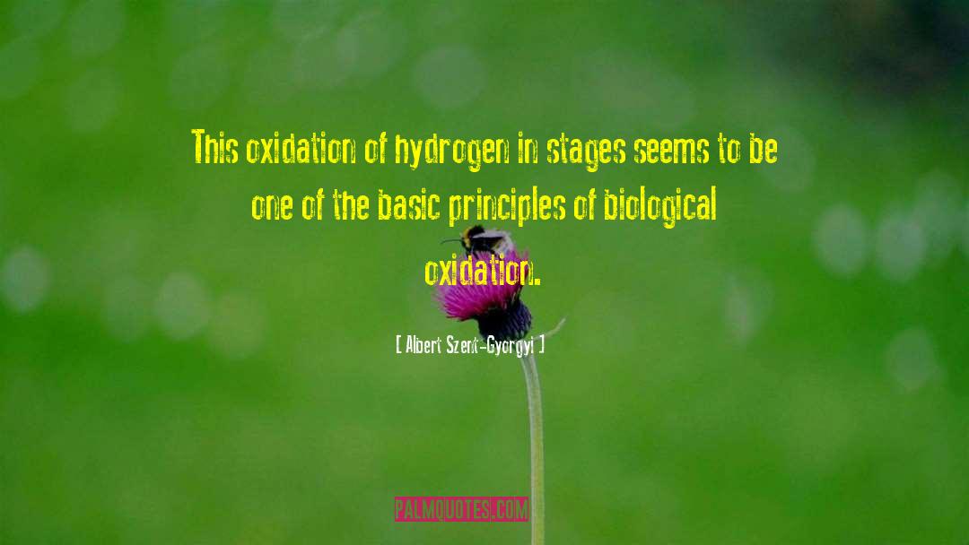 Albert Szent-Gyorgyi Quotes: This oxidation of hydrogen in